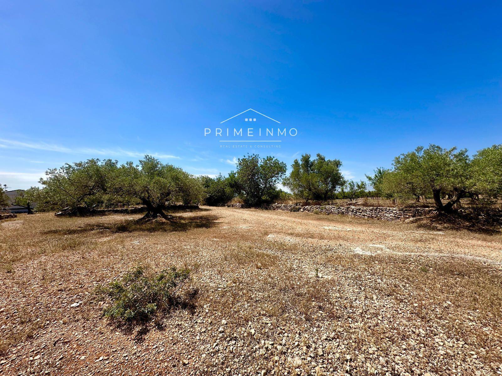 Casa en Venta en L' Ampolla