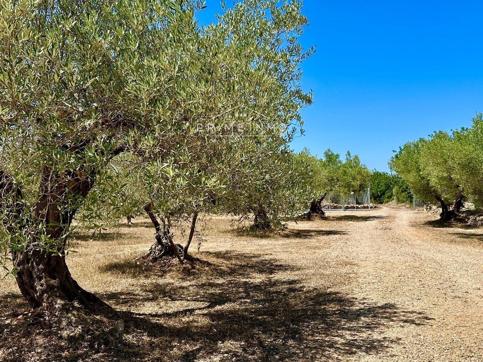 Casa en Venta en L' Ampolla