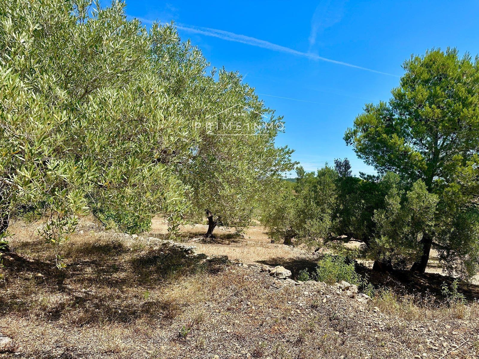Casa en Venta en L' Ampolla
