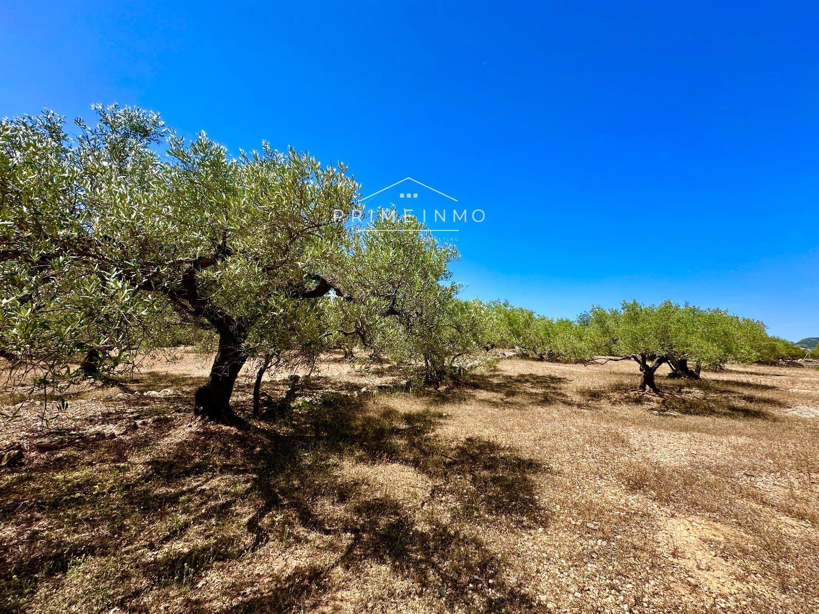 Casa en Venta en L' Ampolla