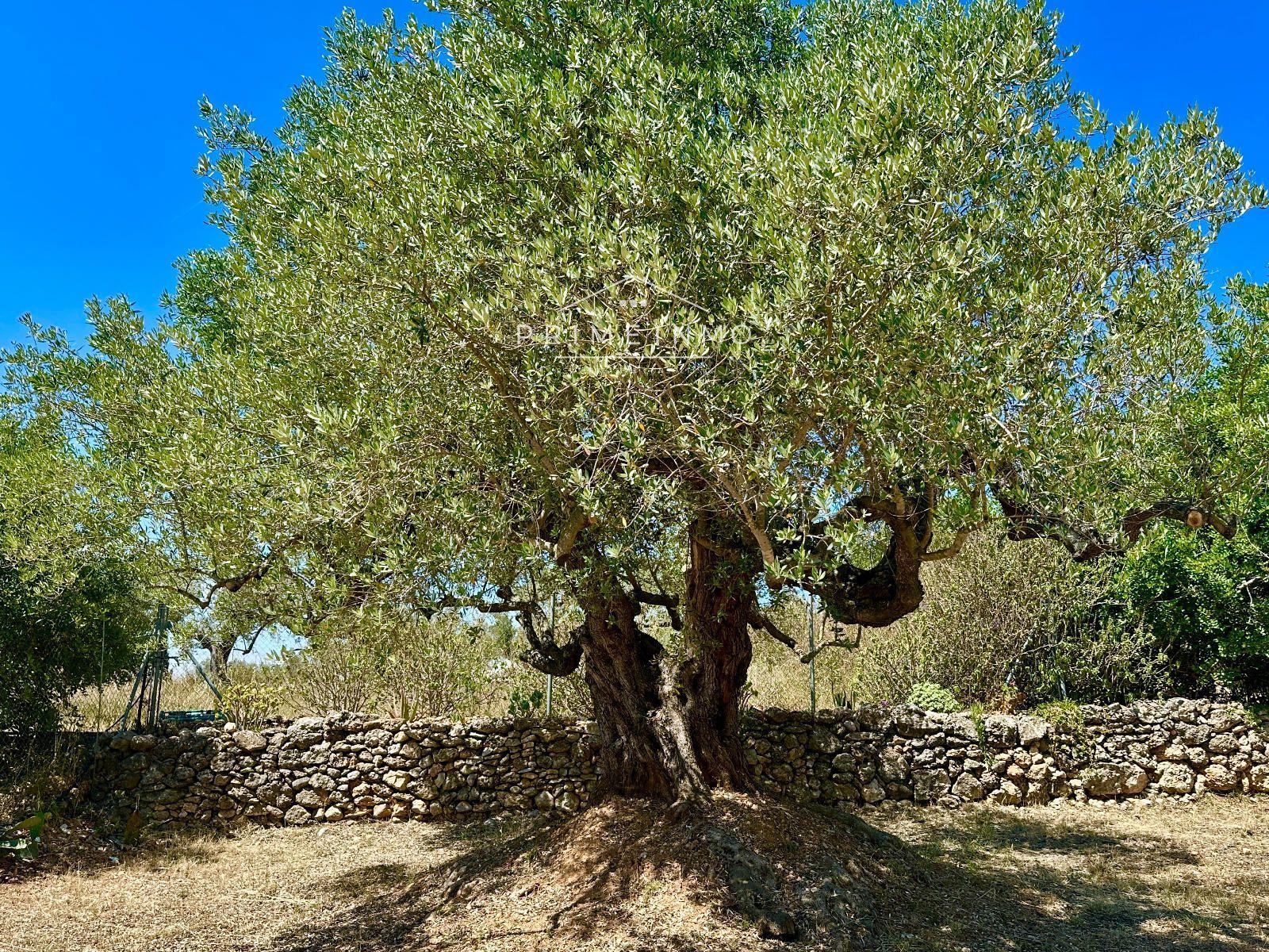 Casa en Venta en L' Ampolla