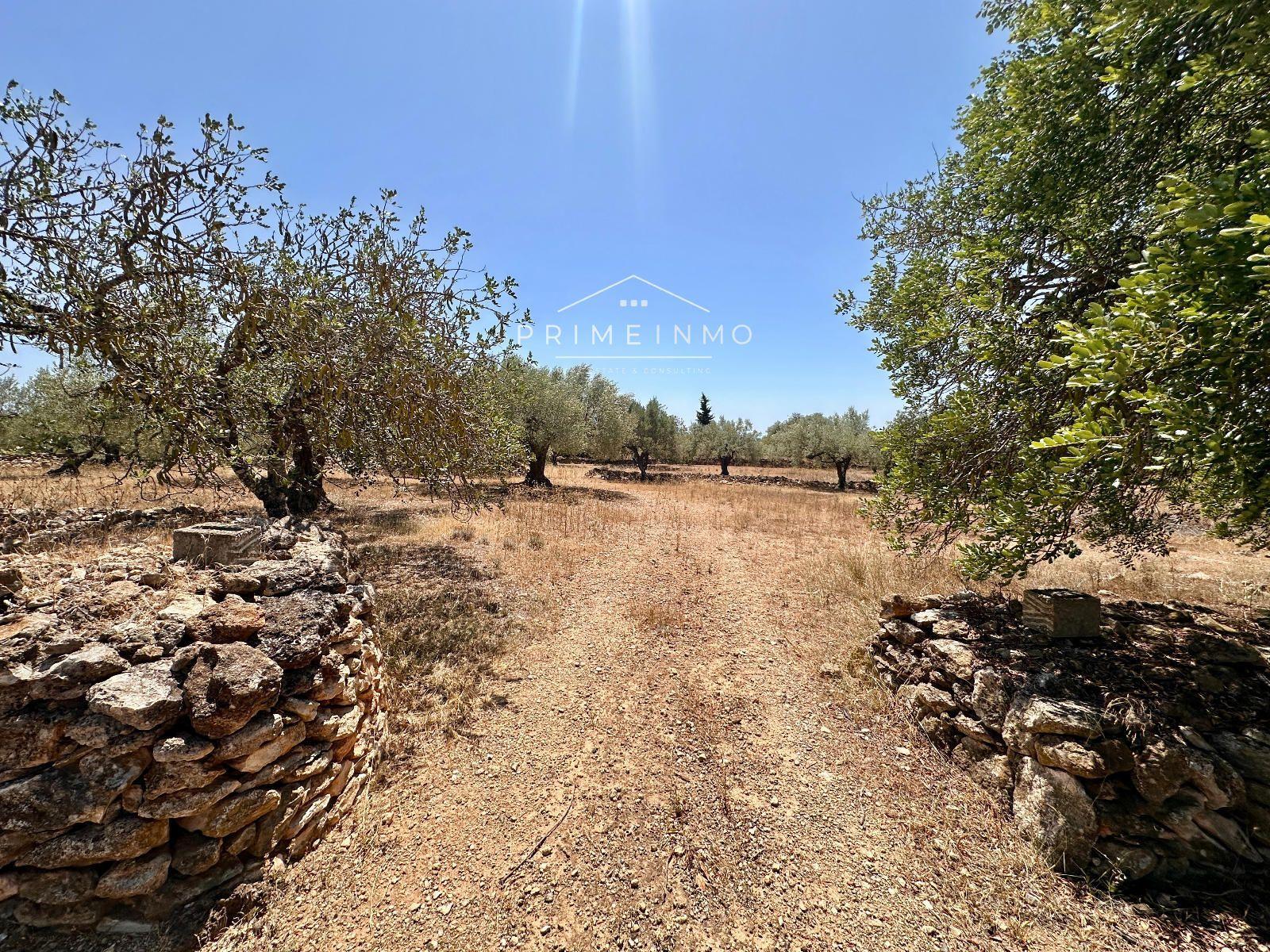 House for Sale in L' Ametlla de Mar