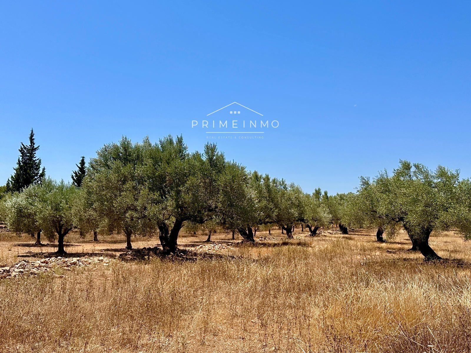 House for Sale in L' Ametlla de Mar