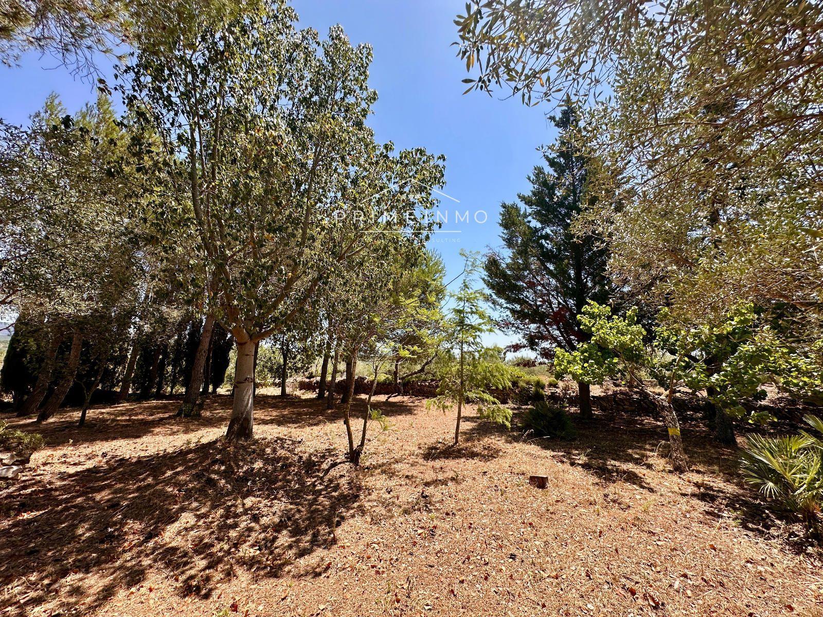 House for Sale in L' Ametlla de Mar