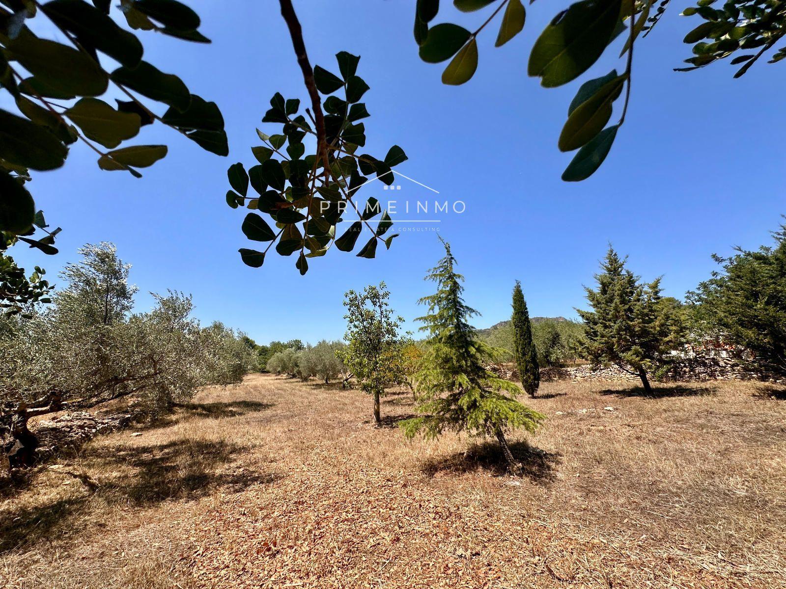 House for Sale in L' Ametlla de Mar