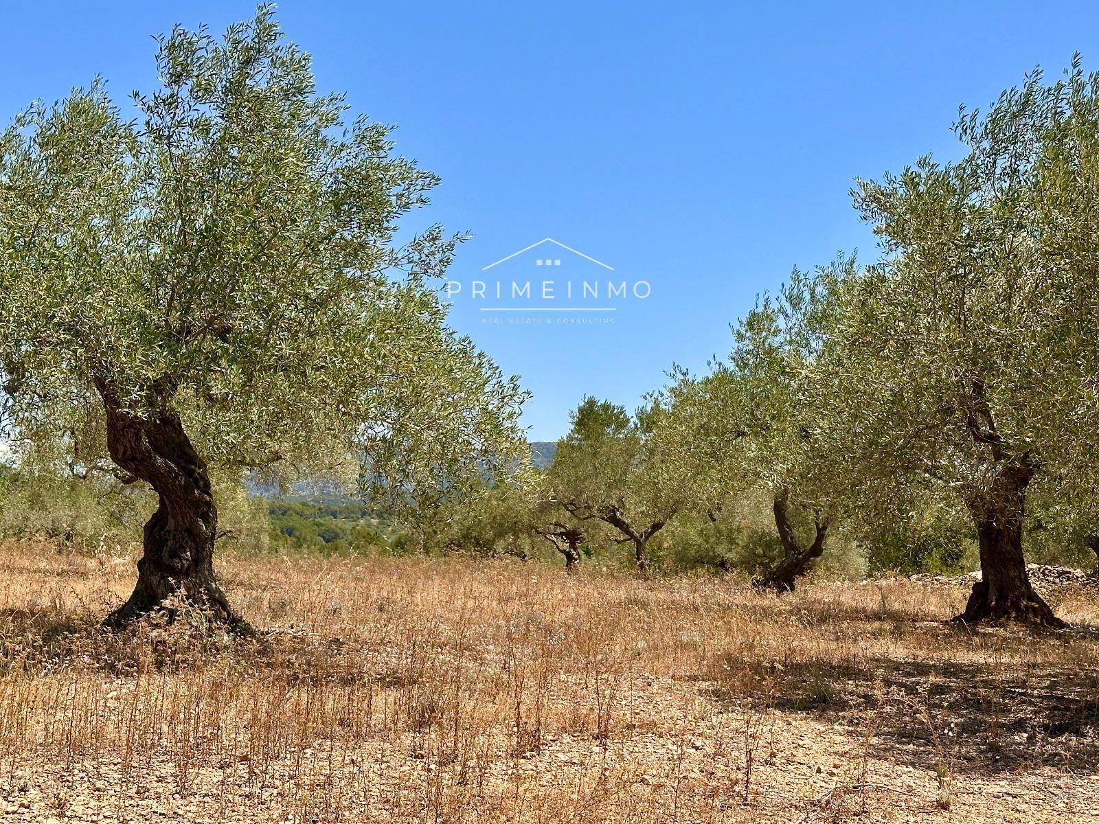 House for Sale in L' Ametlla de Mar