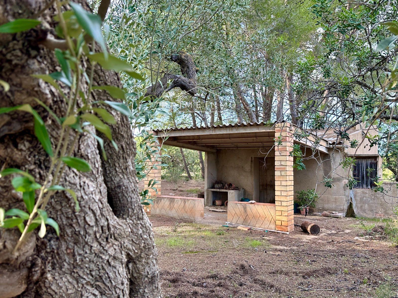 Finca en Venta en El Perelló