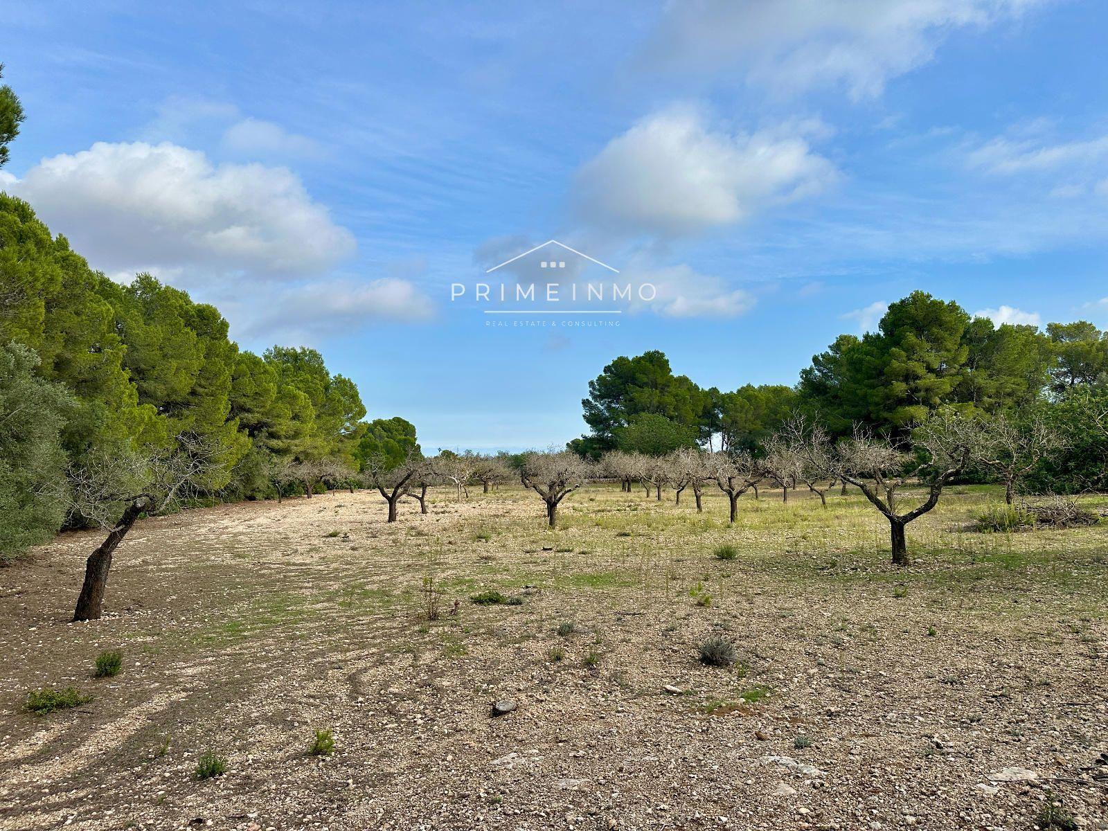 Finca en Venta en El Perelló