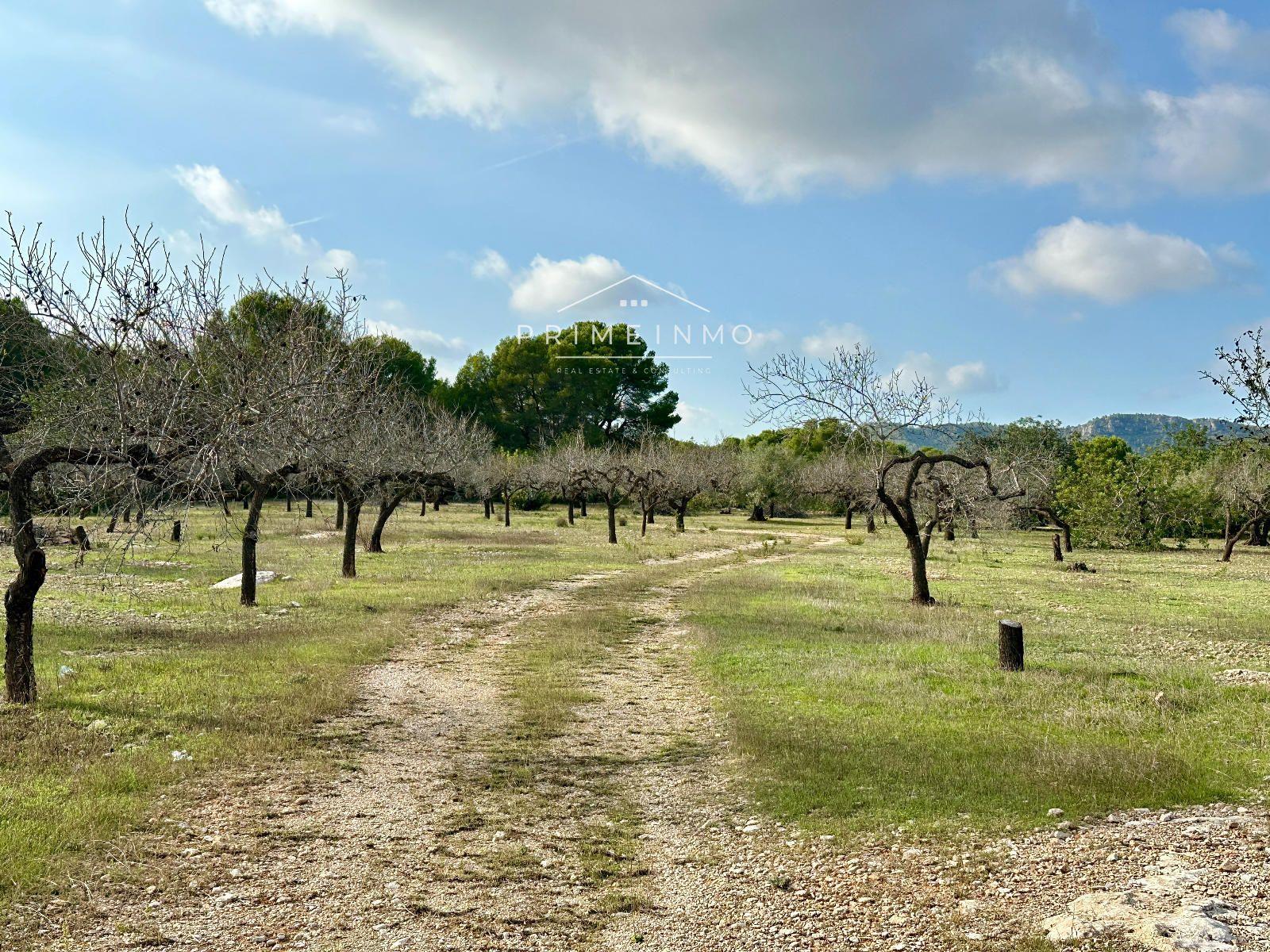 Finca en Venta en El Perelló