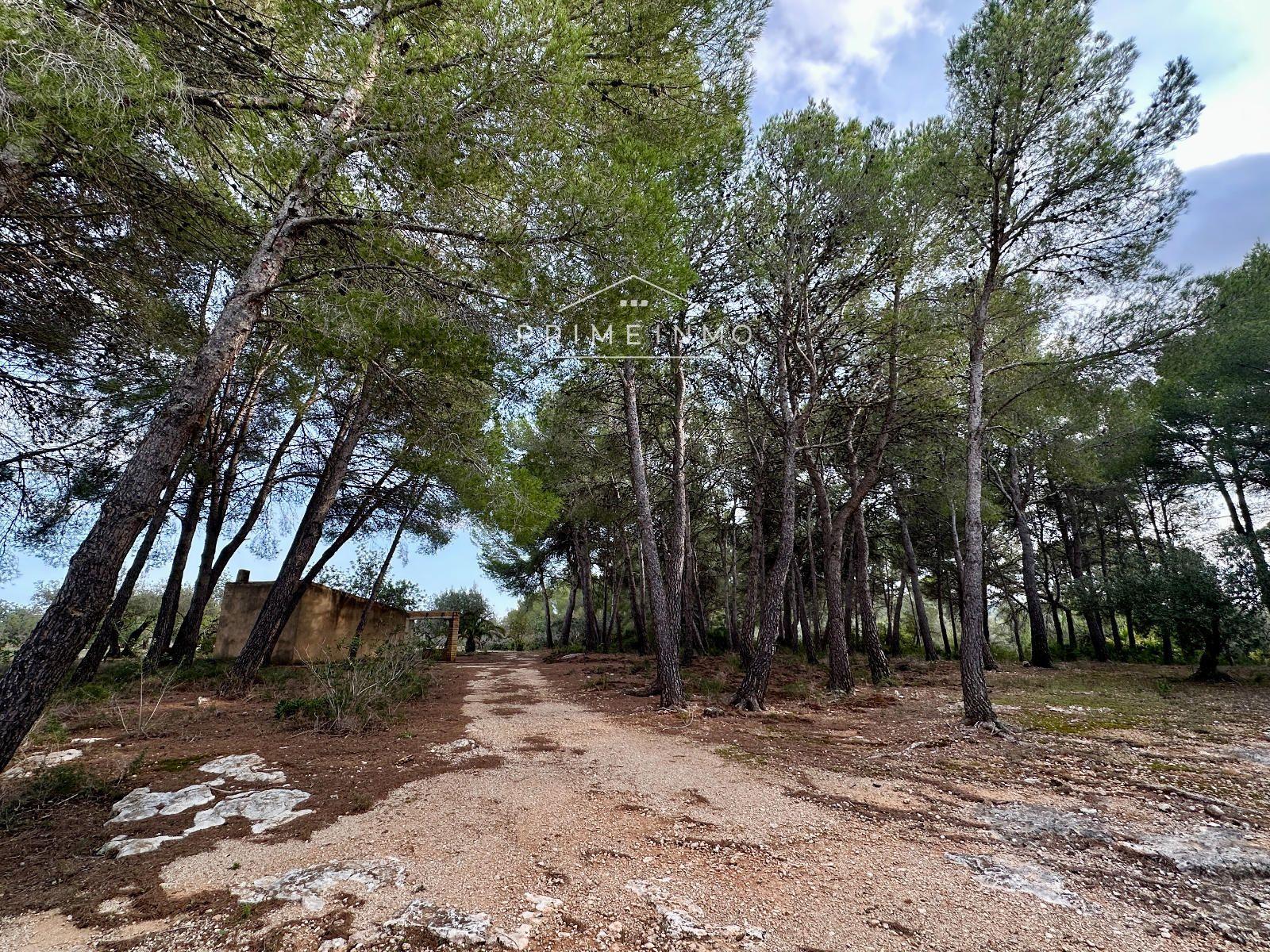 Finca en Venta en El Perelló
