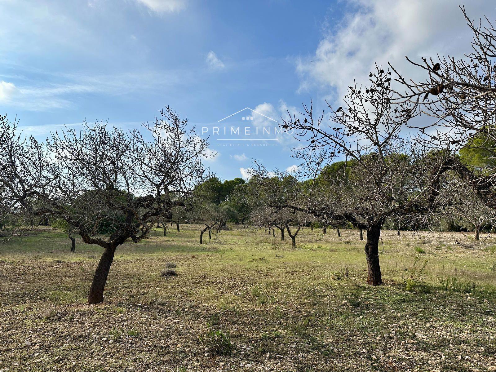 Finca en Venta en El Perelló