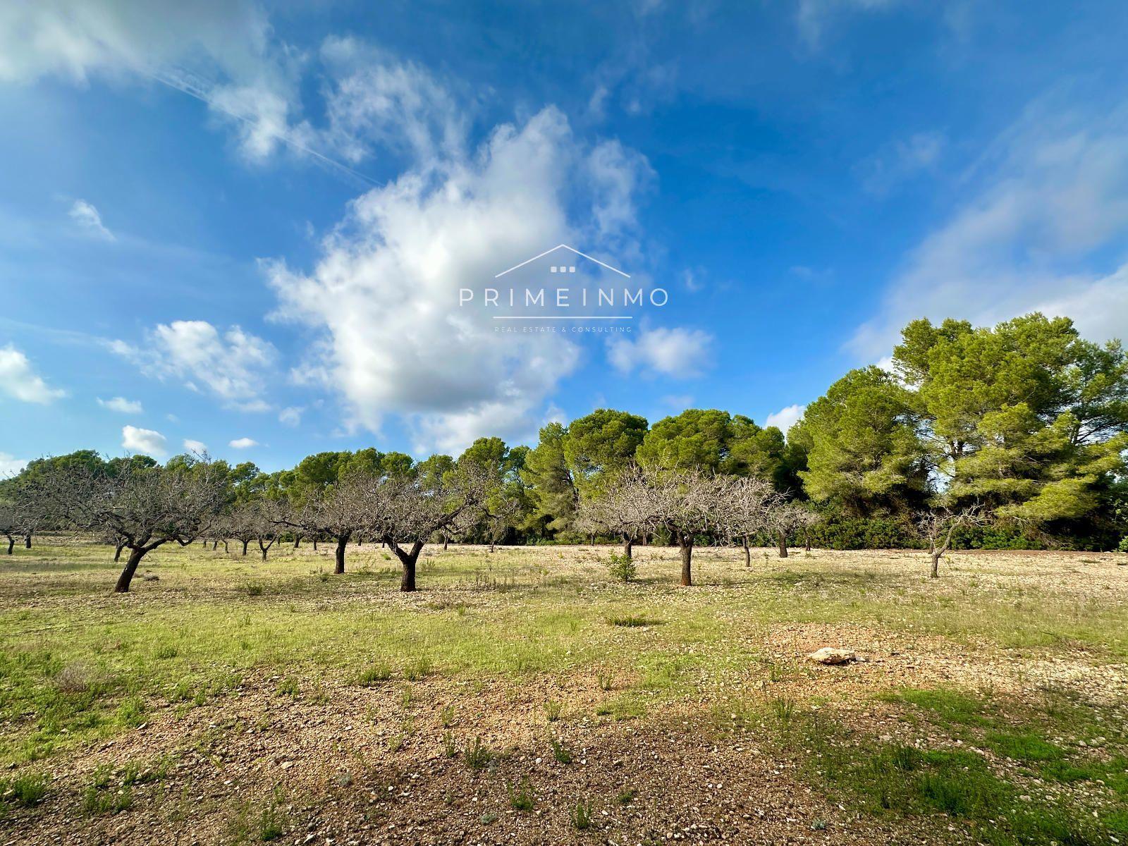 Finca en Venta en El Perelló