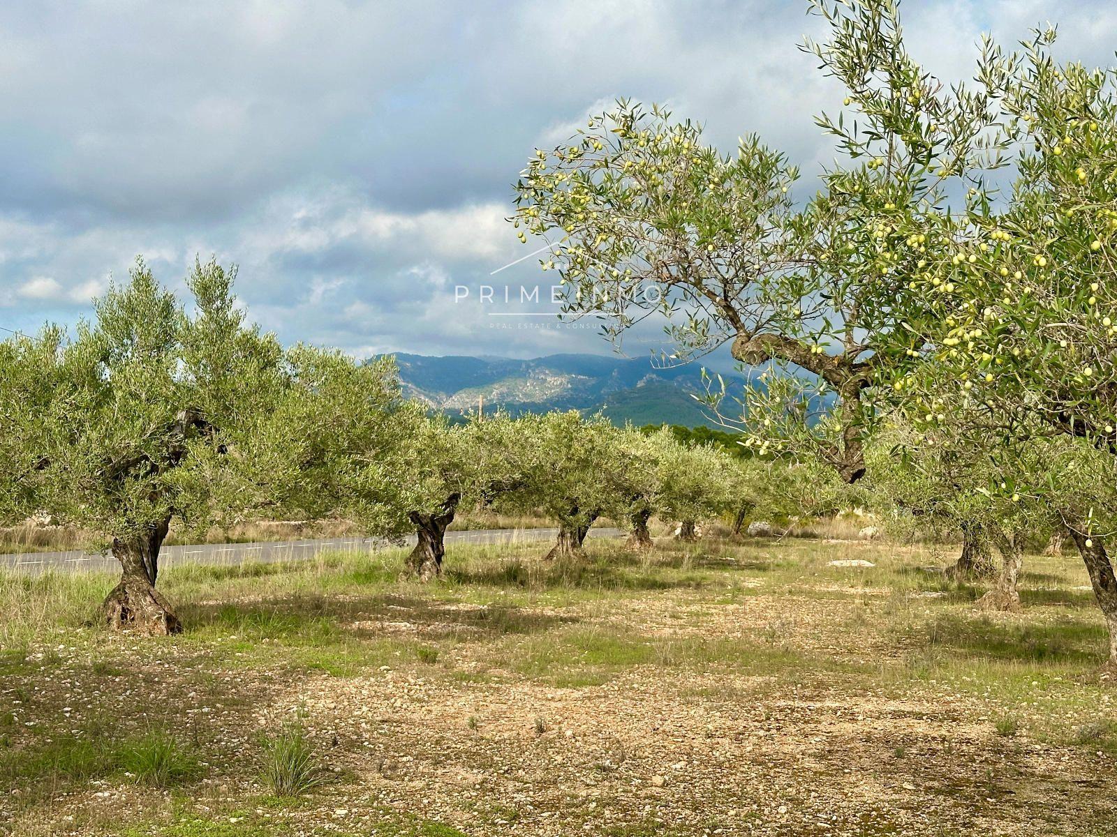 Finca en Venta en El Perelló