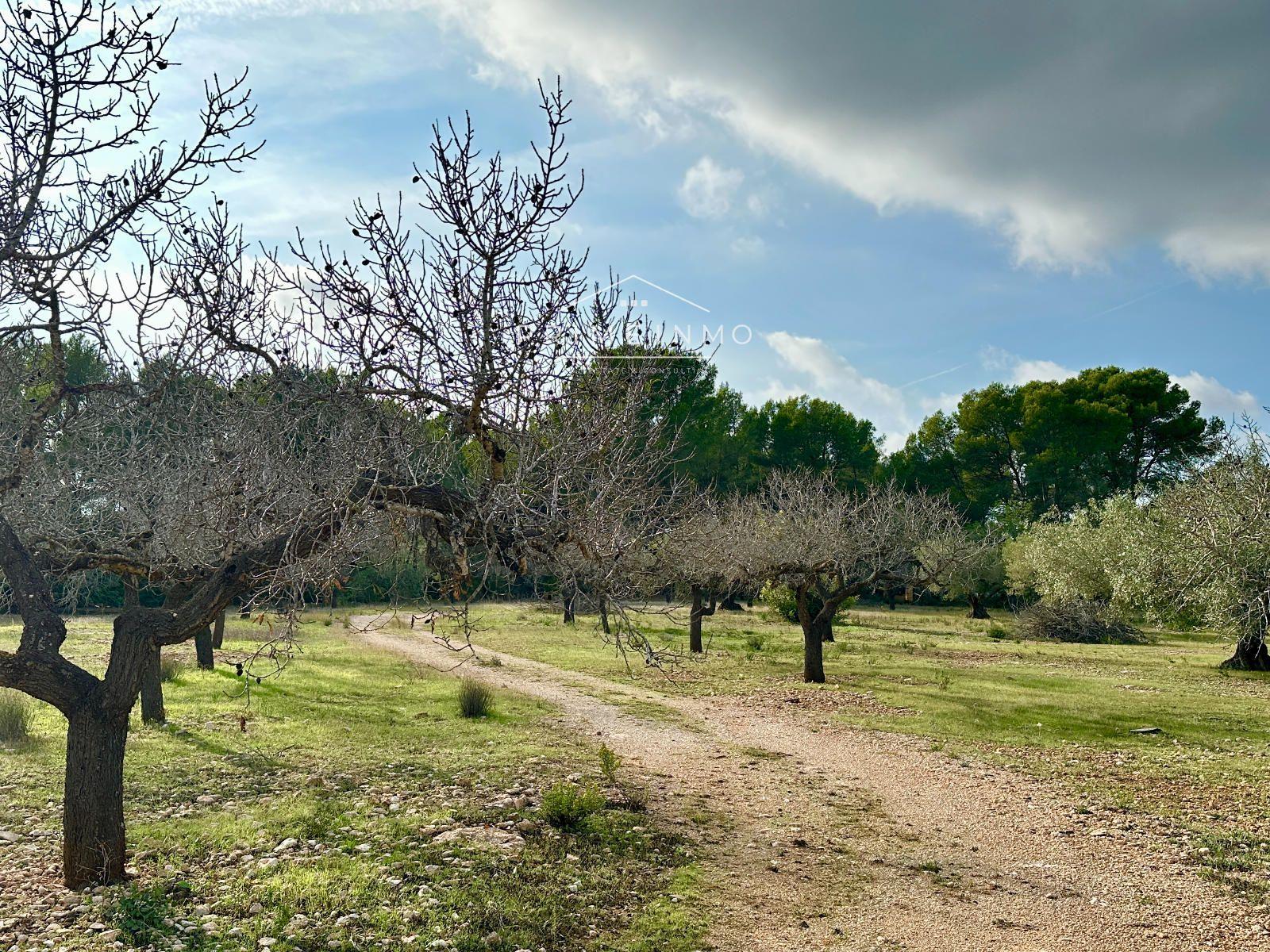 Finca en Venta en El Perelló