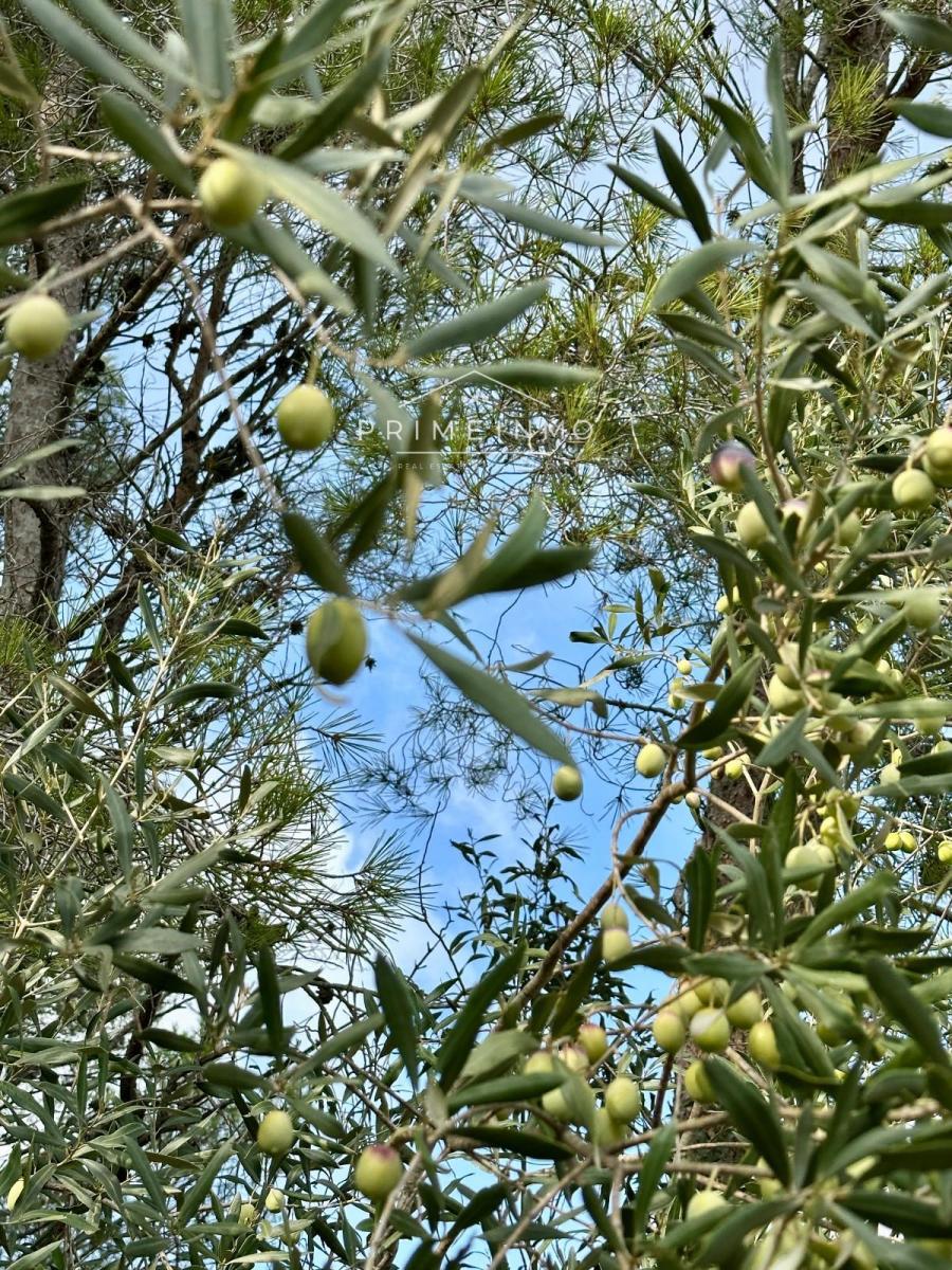 Finca en Venta en El Perelló