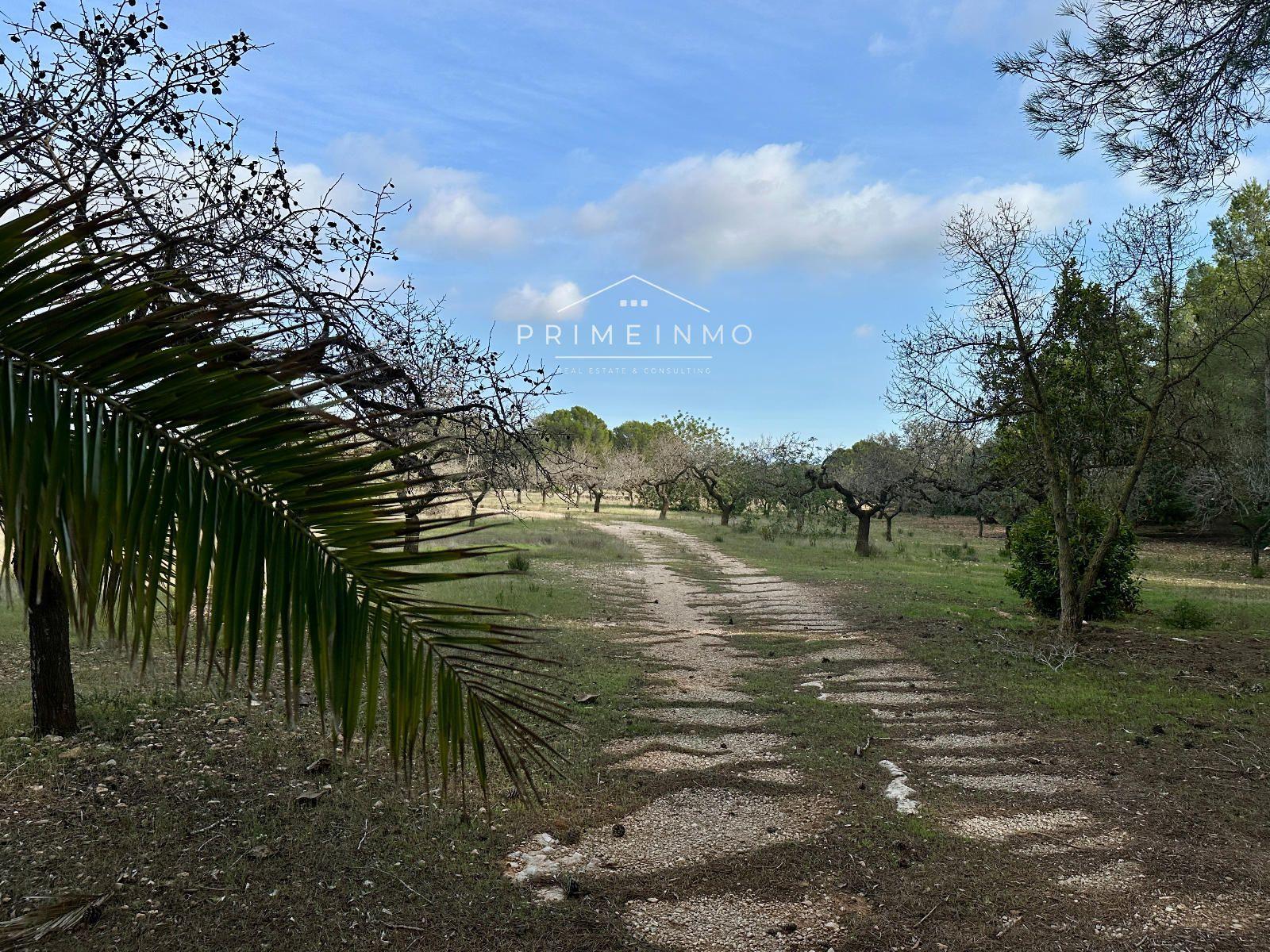 Finca en Venta en El Perelló