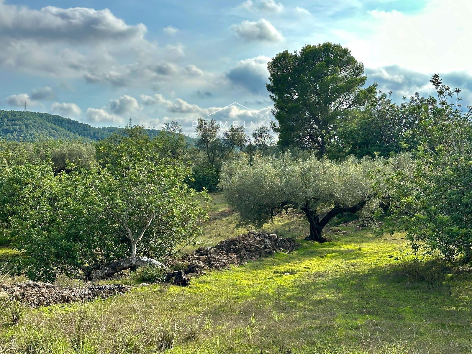 Finca en Venta en El Perelló