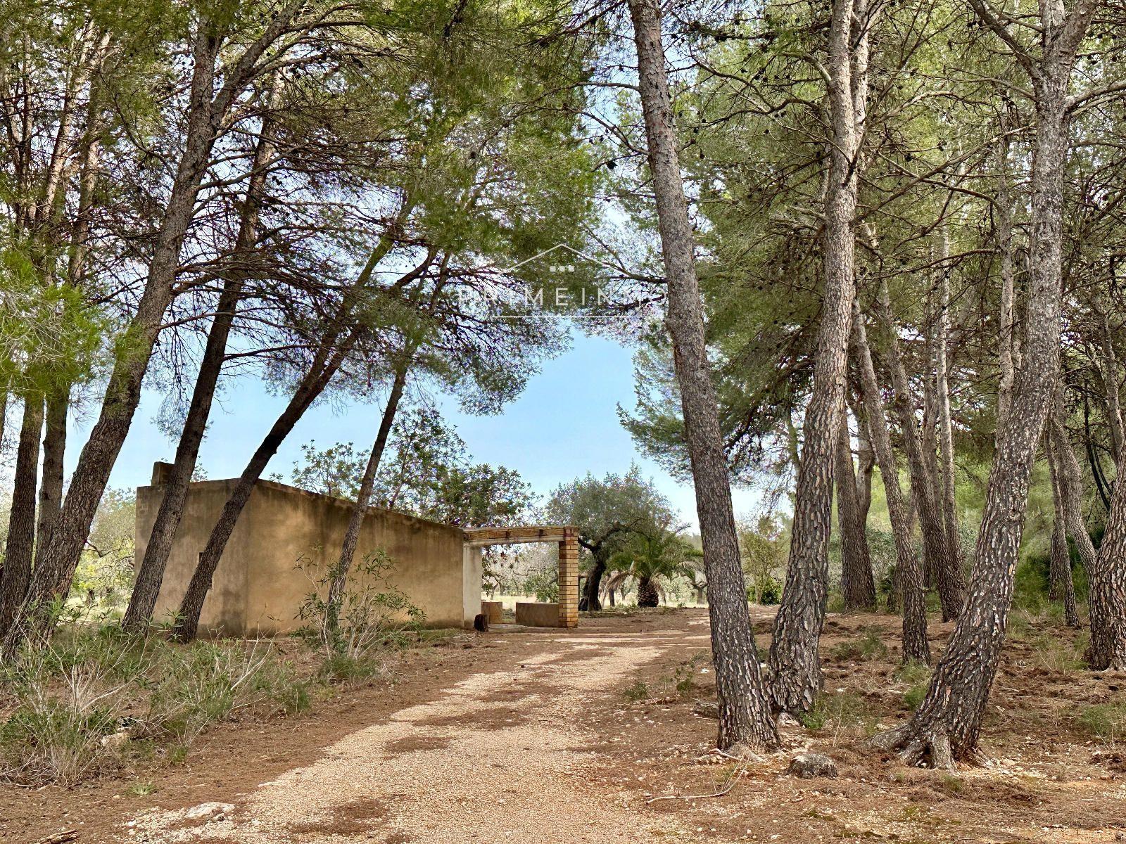 Finca en Venta en El Perelló