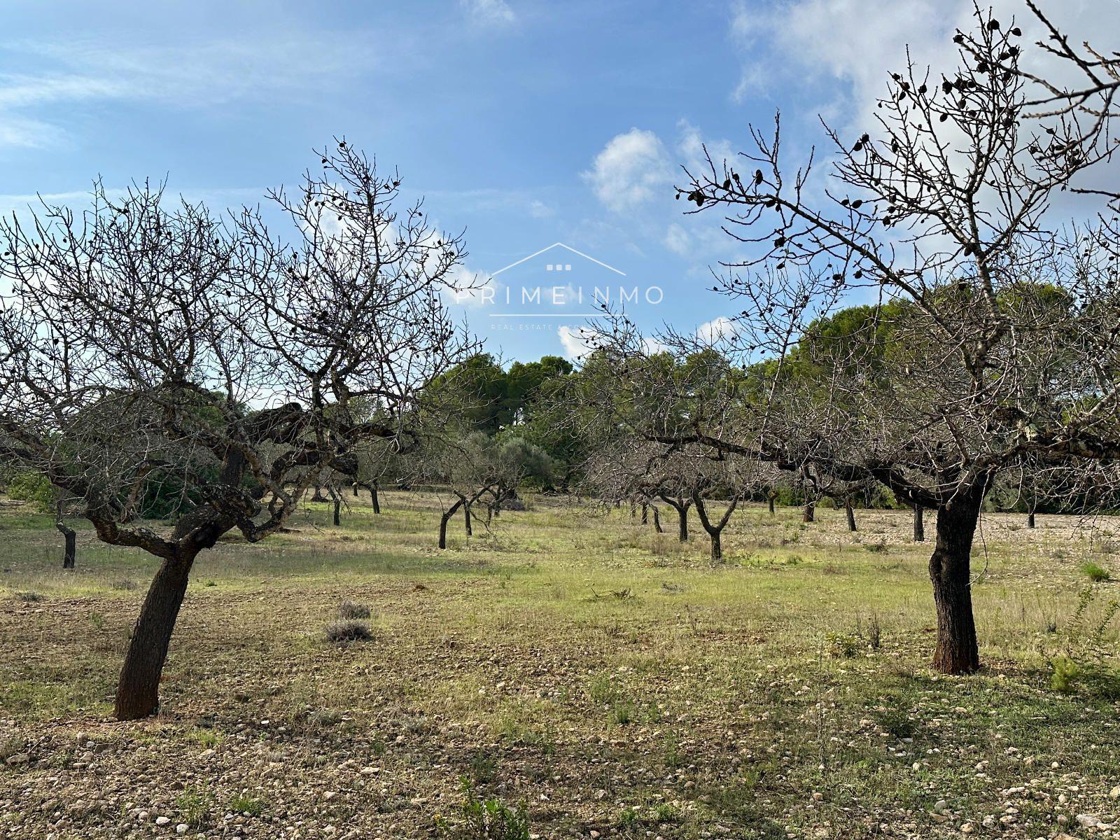 Finca en Venta en El Perelló