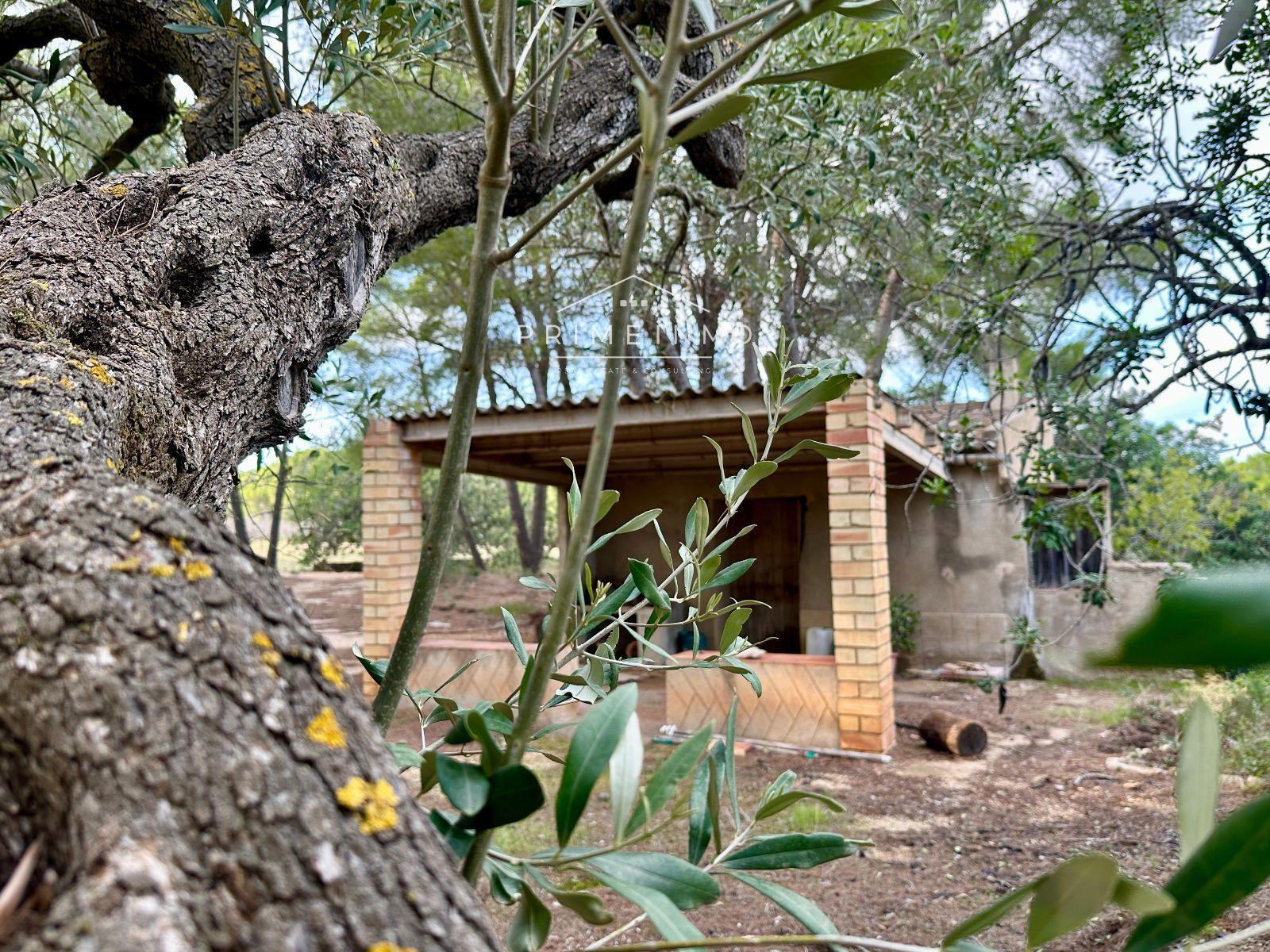 Finca en Venta en El Perelló