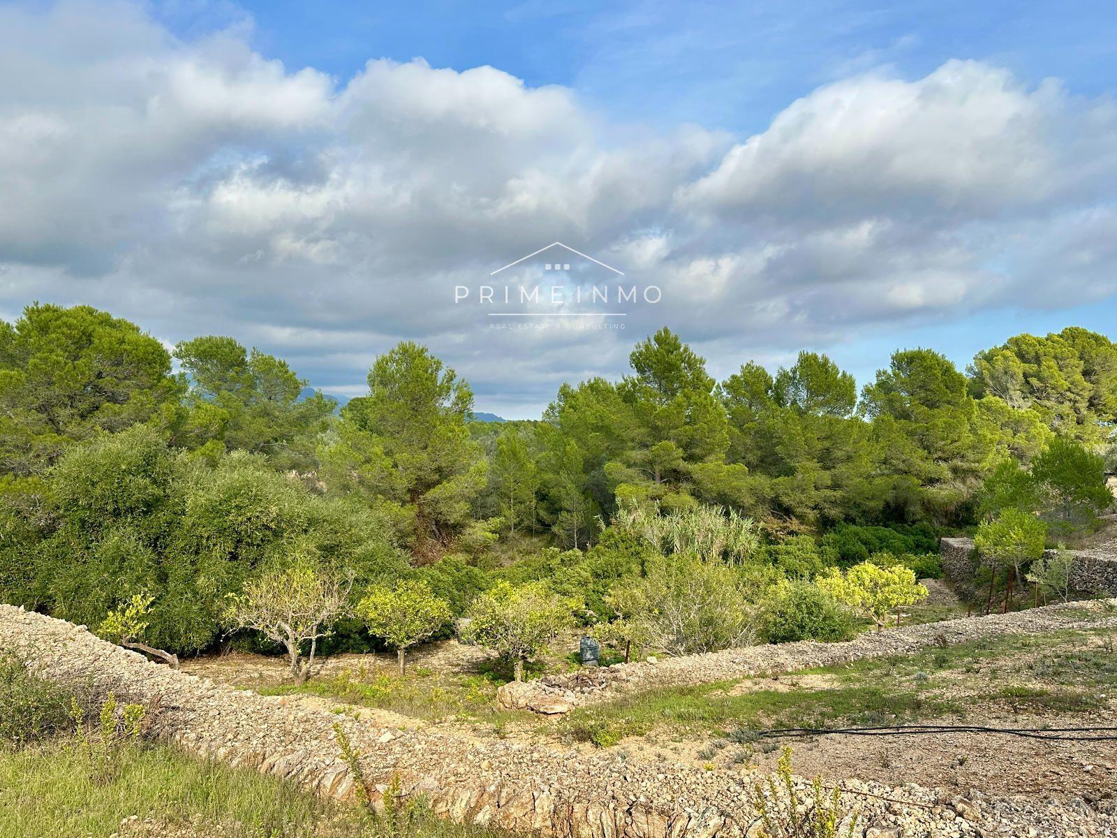 Finca en Venta en El Perelló