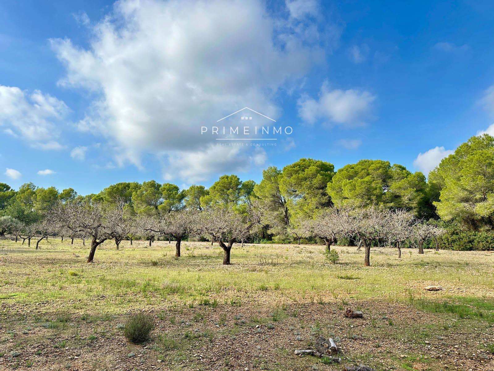 Finca en Venta en El Perelló