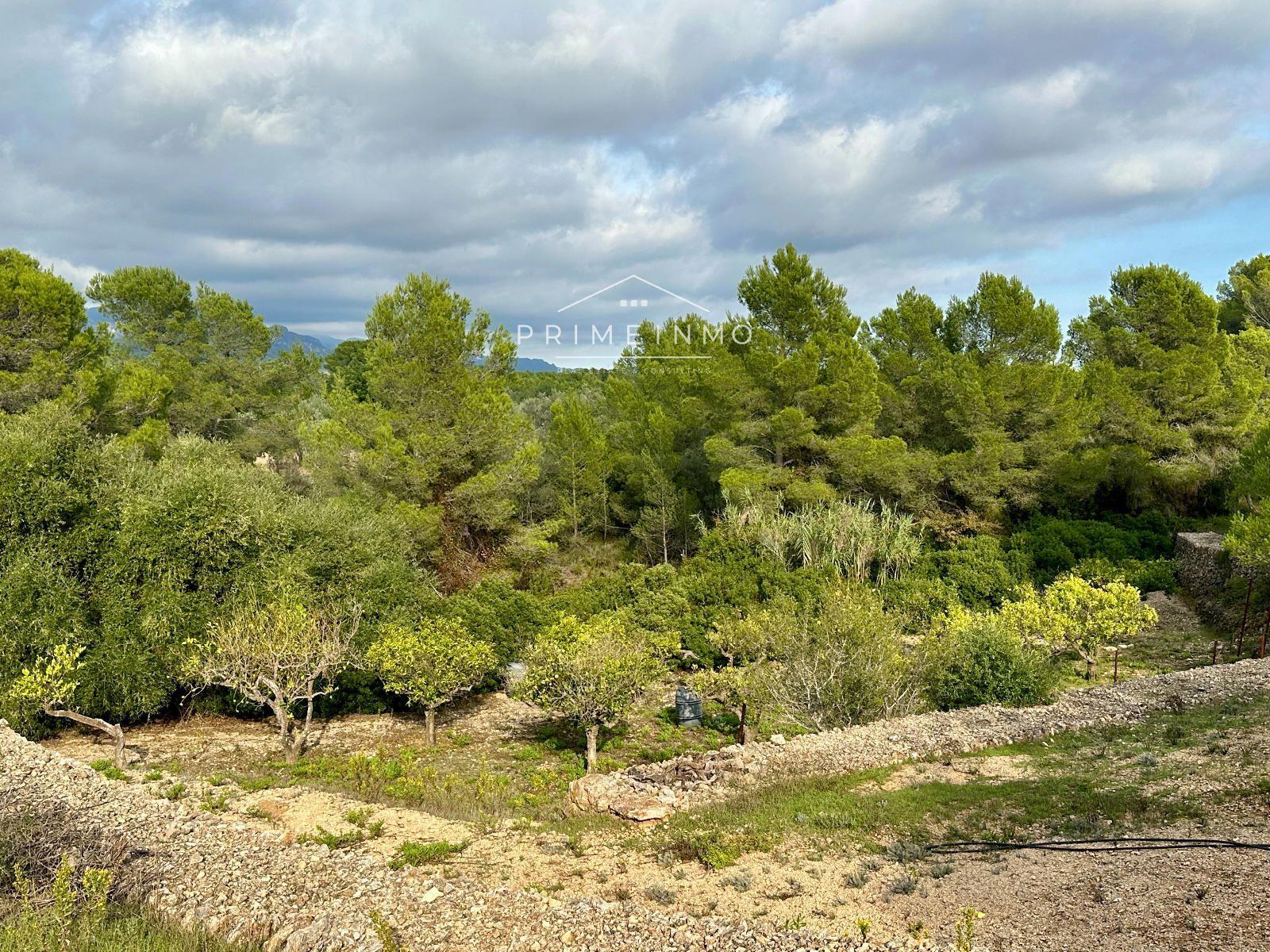 Finca en Venta en El Perelló