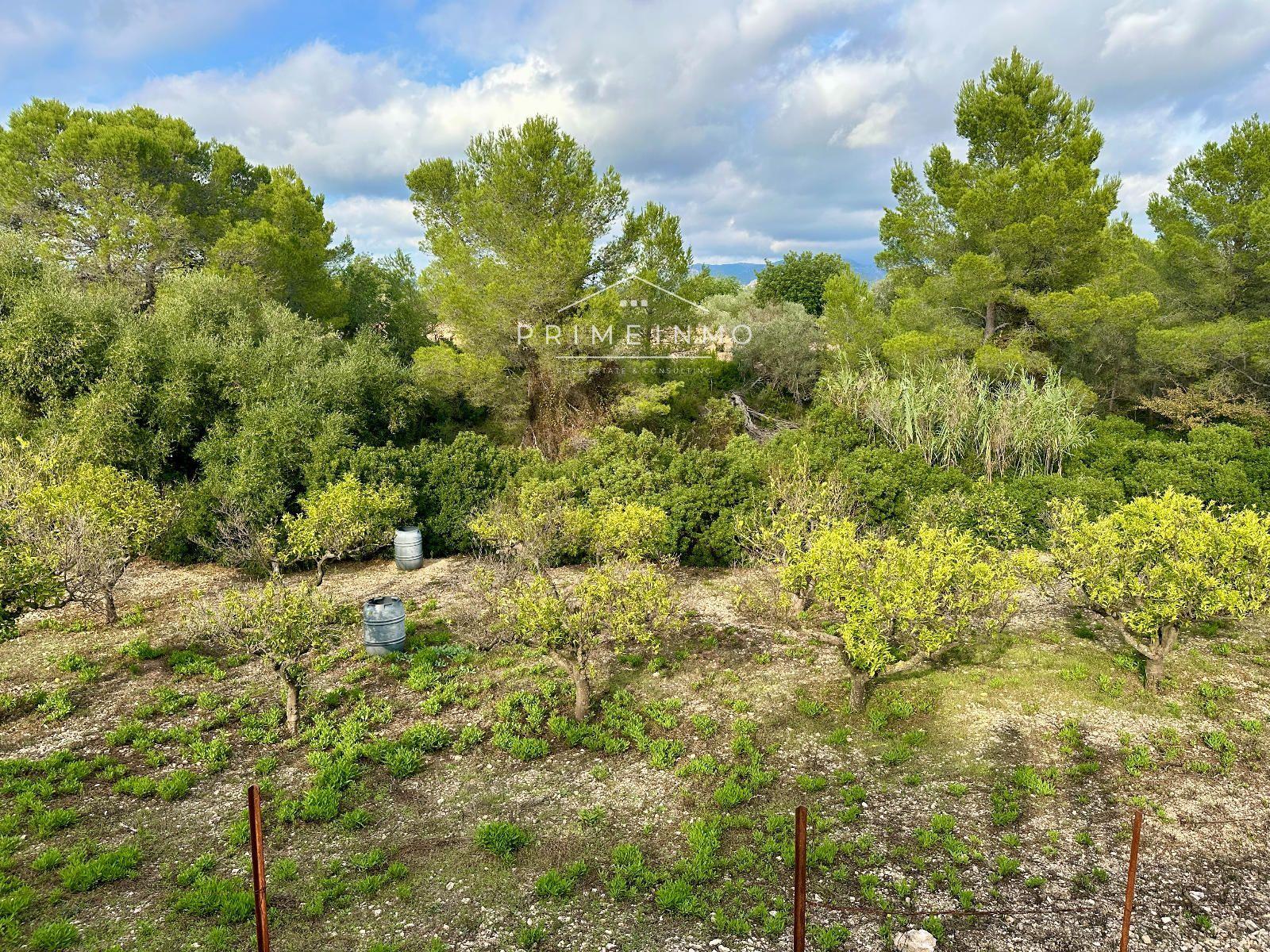 Finca en Venta en El Perelló