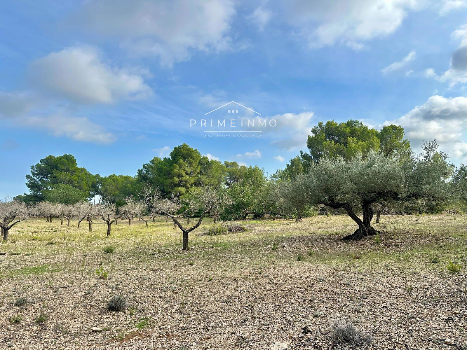 Finca en Venta en El Perelló