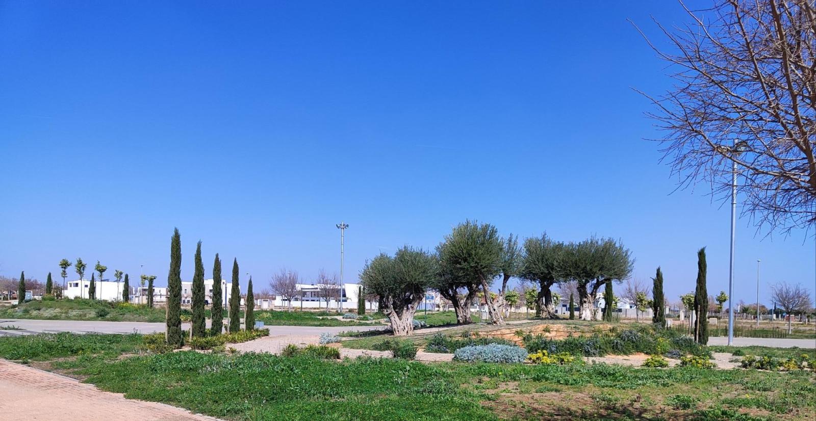 Penthouse for Sale in Torre-Pacheco