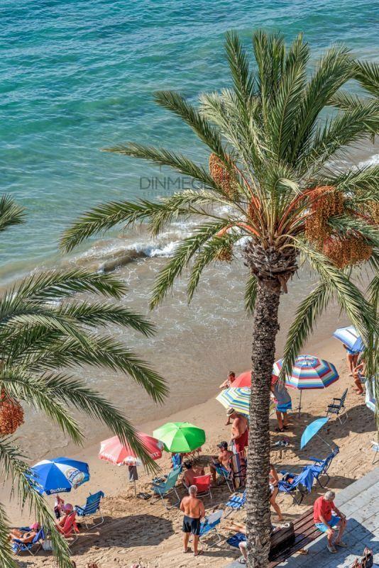 Apartamento en Venta en Torrevieja