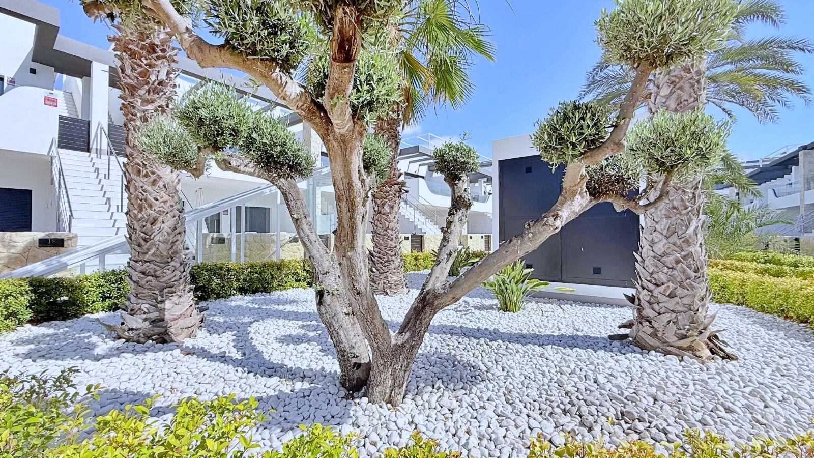 Penthouse for Sale in Orihuela