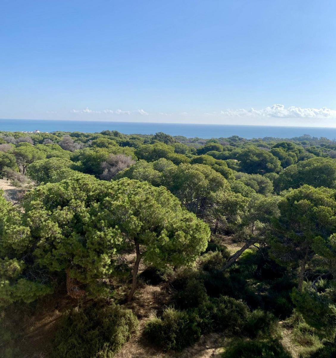 Piso en Venta en Guardamar del Segura