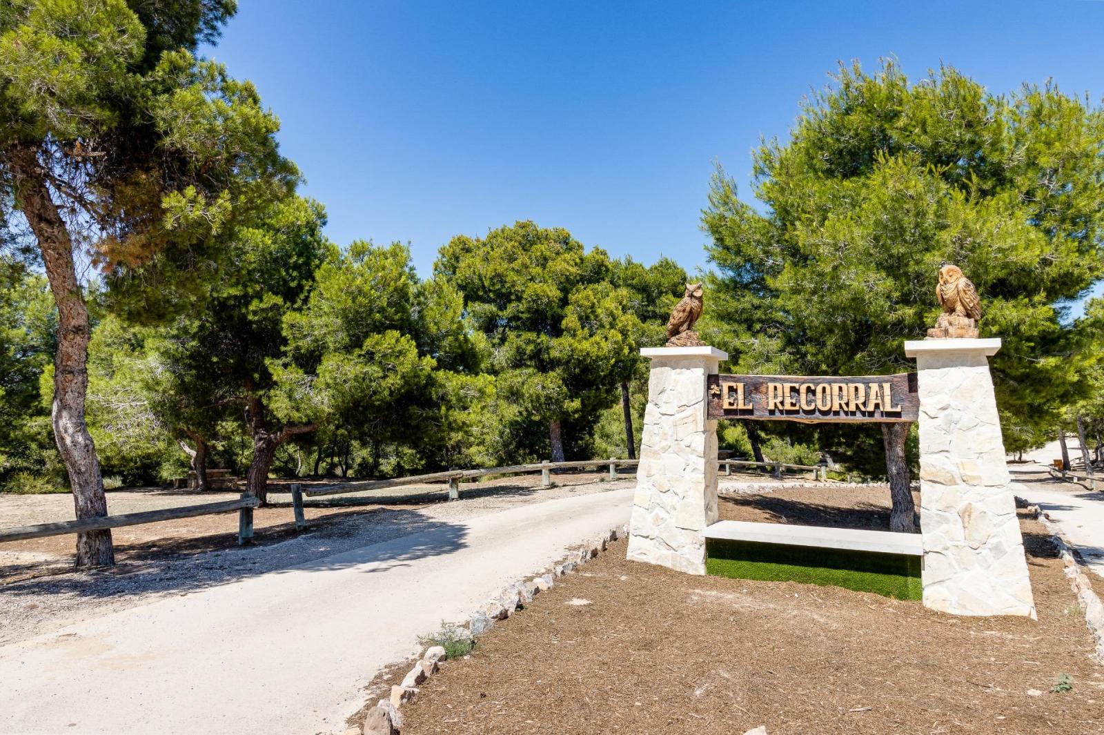 Chalet en Venta en Rojales