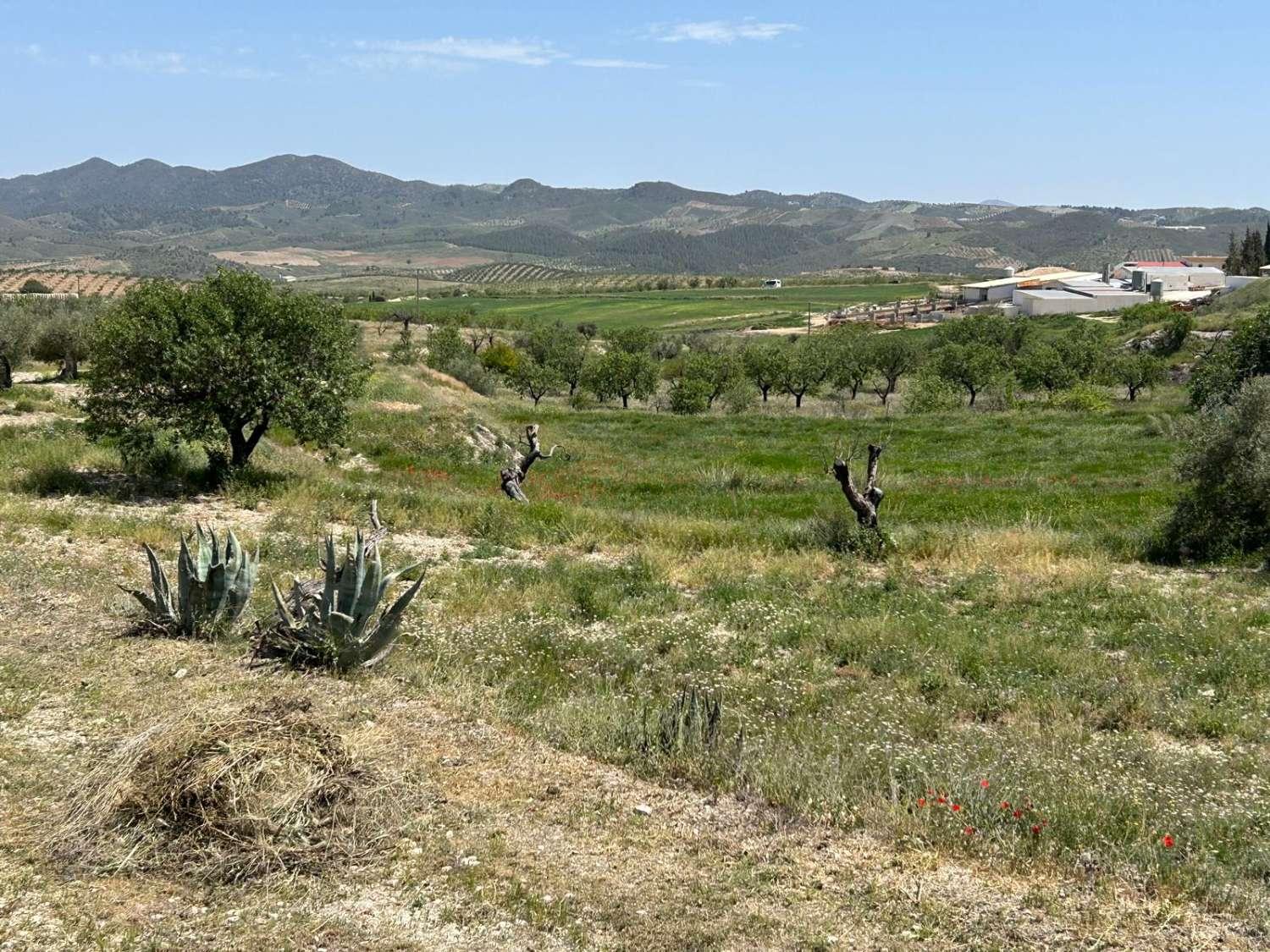 Villa for Sale in Vélez-Blanco