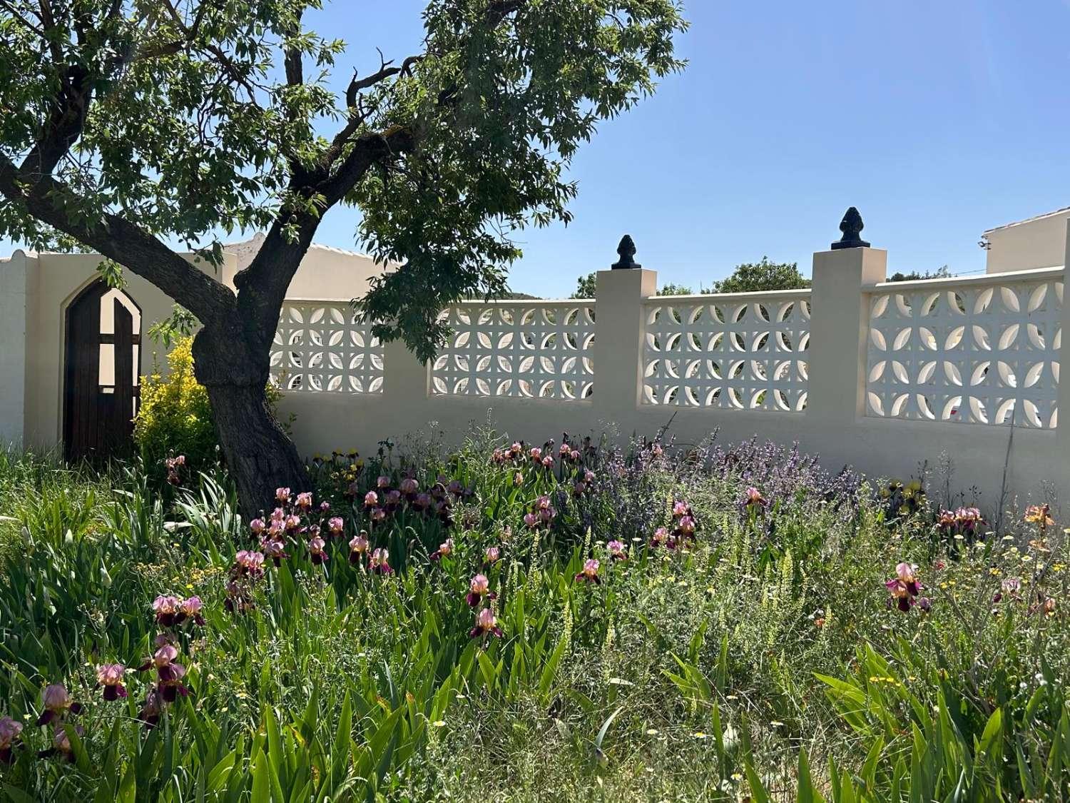 Villa for Sale in Vélez-Blanco
