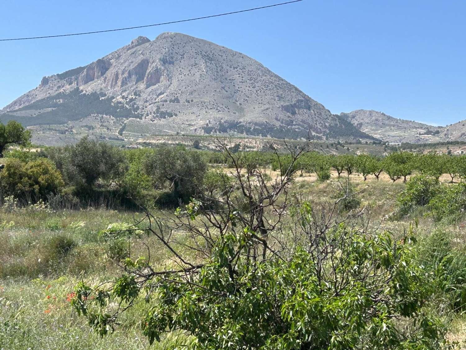 Villa for Sale in Vélez-Blanco