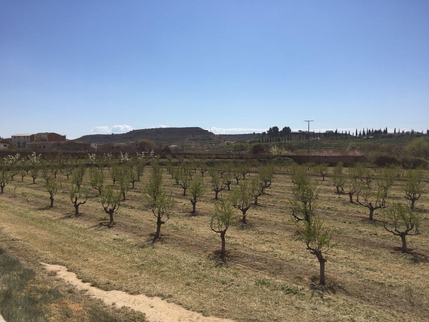 Parcela en Venta en Fabara