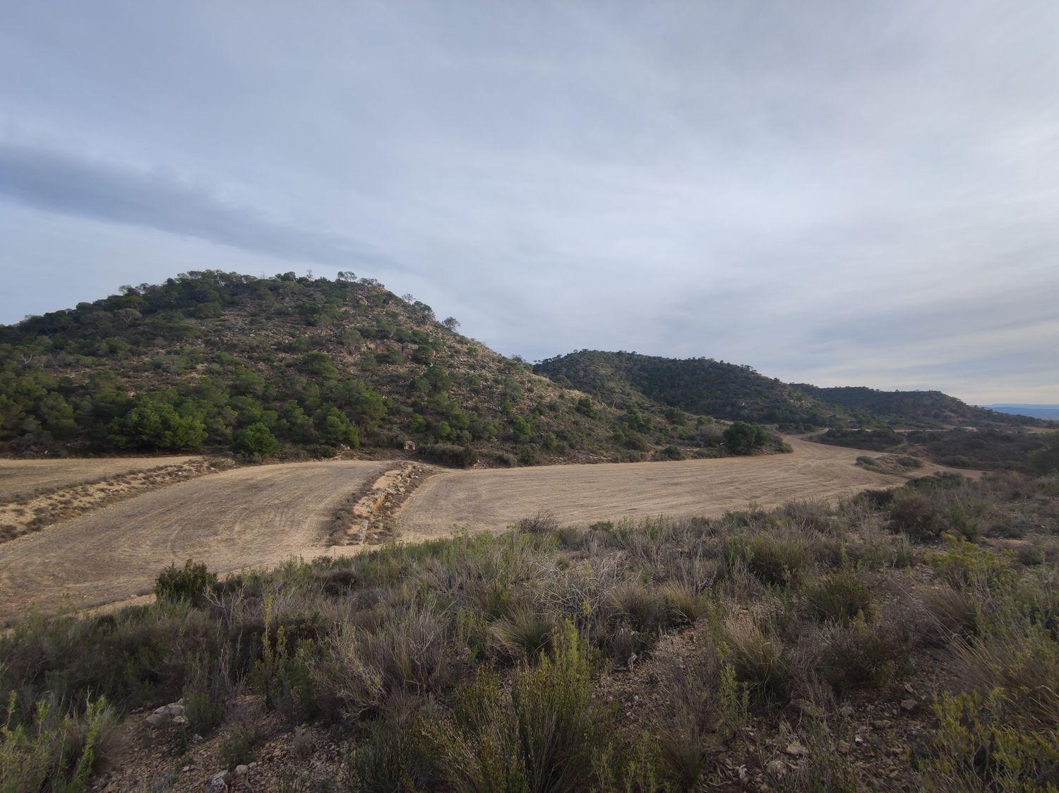 Building Site for Sale in Caspe