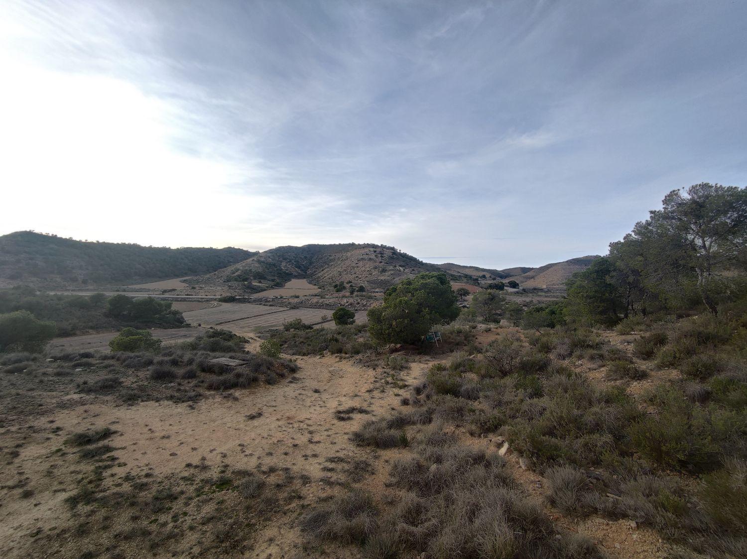 Building Site for Sale in Caspe
