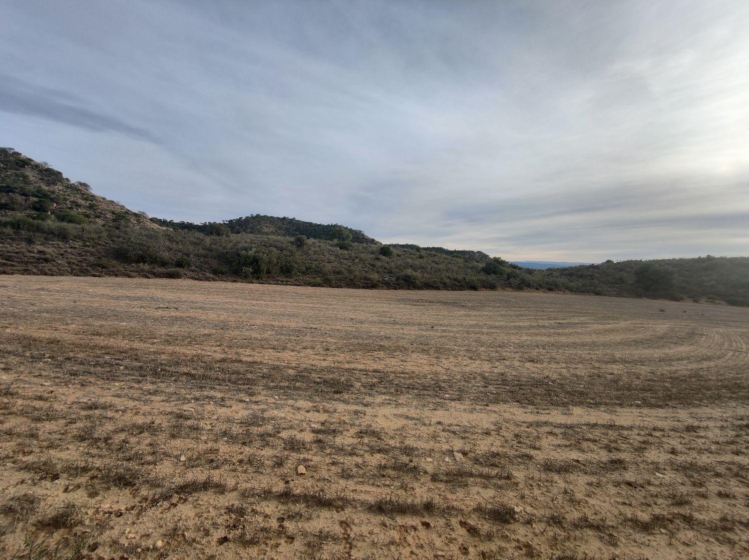 Building Site for Sale in Caspe