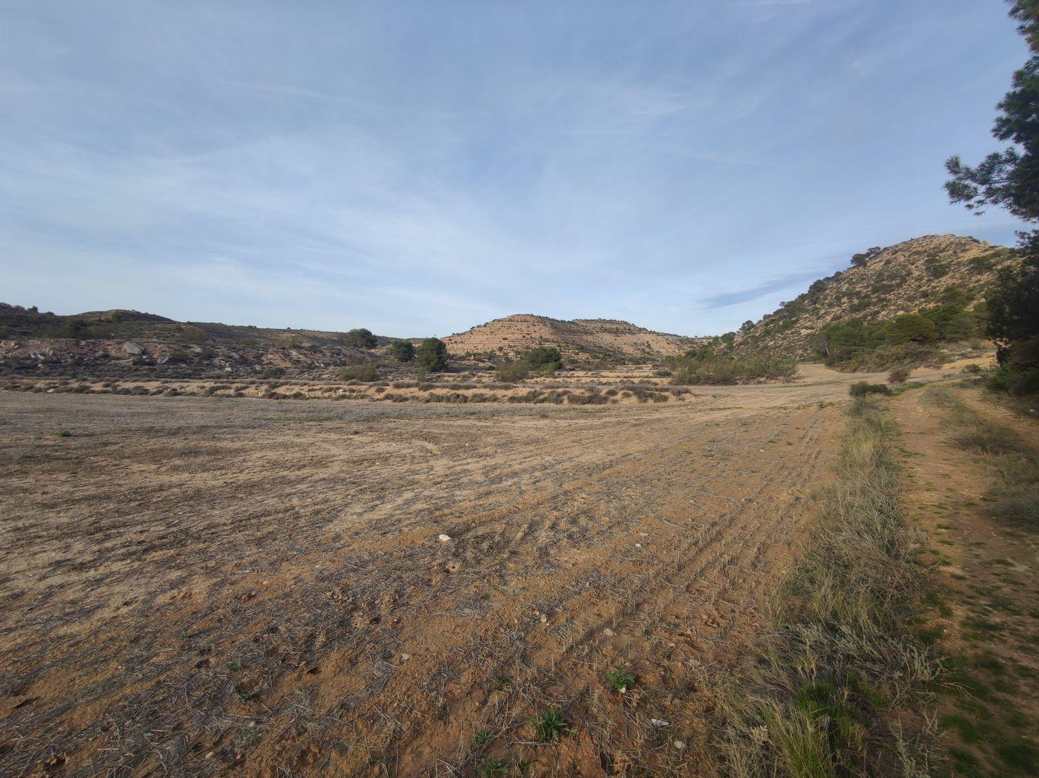 Building Site for Sale in Caspe