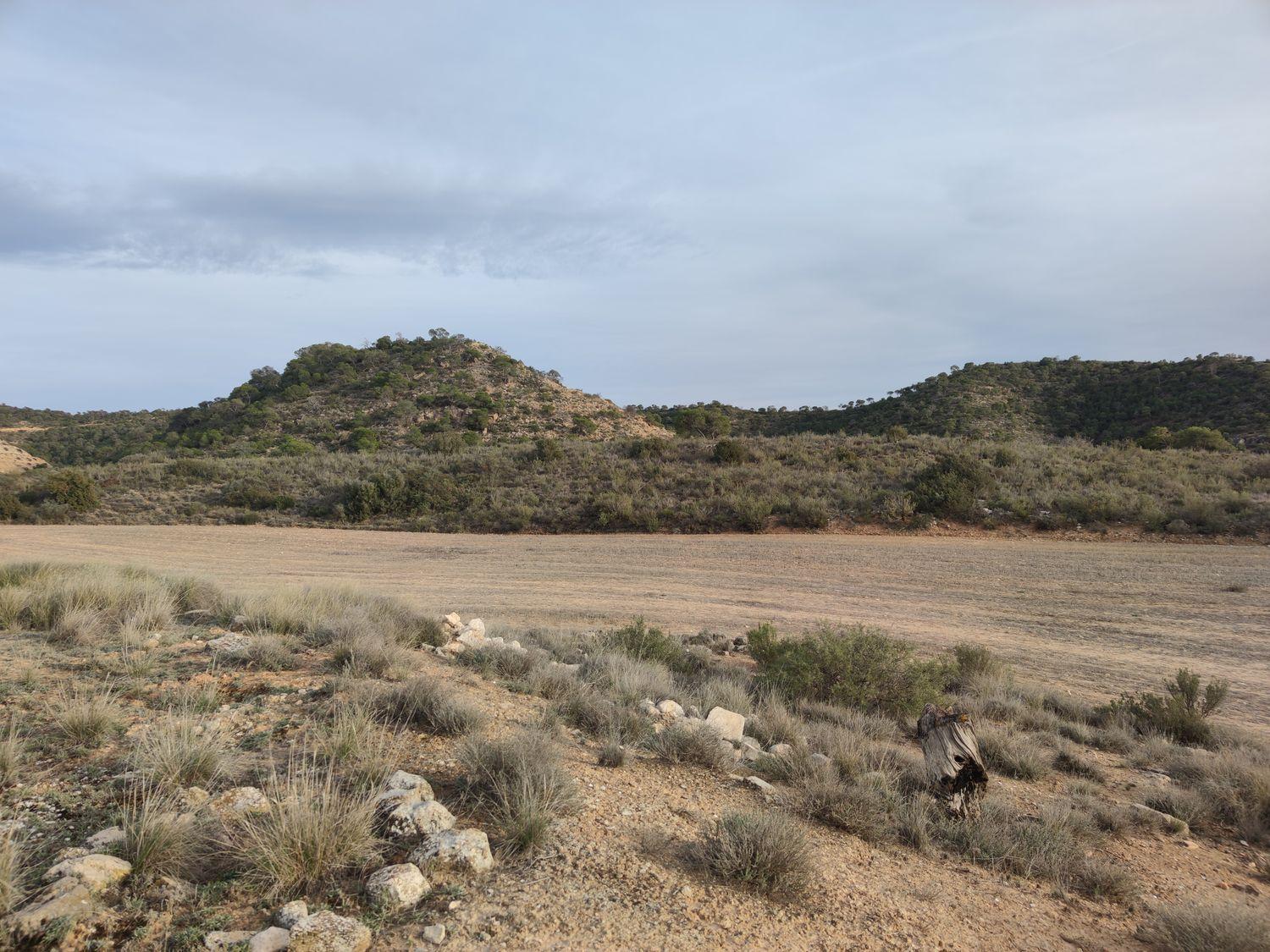 Building Site for Sale in Caspe