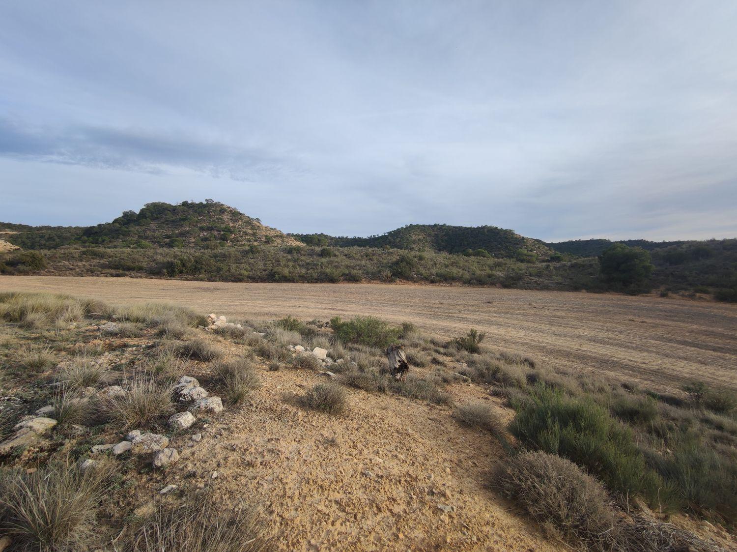 Building Site for Sale in Caspe