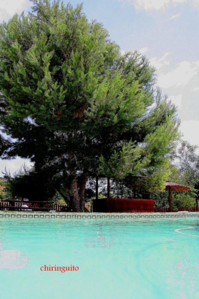 Finca en Venta en Murcia