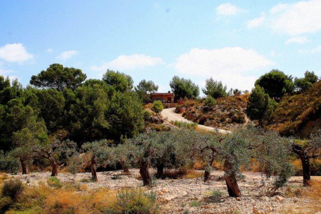 Finca en Venta en Murcia
