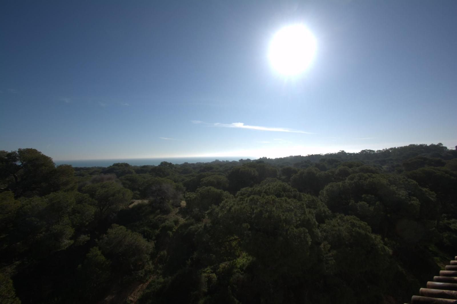 Apartamento en Venta en Guardamar del Segura
