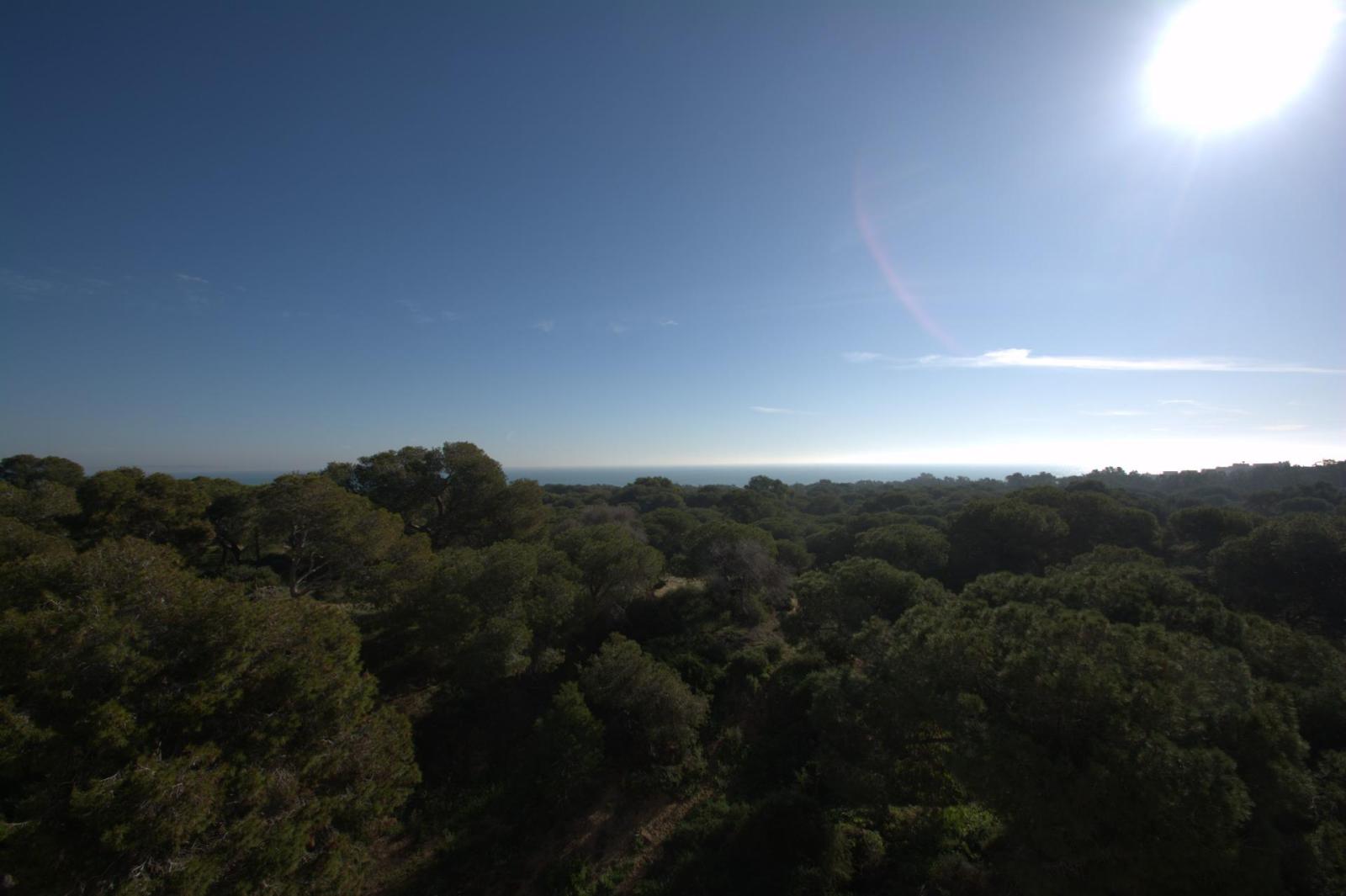 Apartamento en Venta en Guardamar del Segura