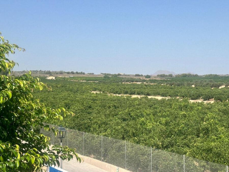 Villa for Sale in Algorfa