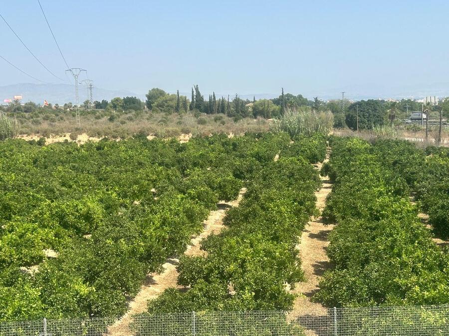 Villa for Sale in Algorfa